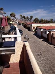 Linda Walling (@lwalling_linda)