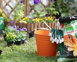 In einem liebevoll gepflegten garten benötigen die meisten sträucher mindestens ein mal im jahr einen sorgfältigen schnitt. Baume Straucher Gartengeheimnis At