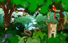 Tropical rainforests are characterized by wet. Rainforest With Animals Vector Illustration Vector Green Tropical Royalty Free Cliparts Vectors And Stock Illustration Image 89414476