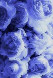 Check spelling or type a new query. Cute Lilac Wallpaper Iphone Novocom Top