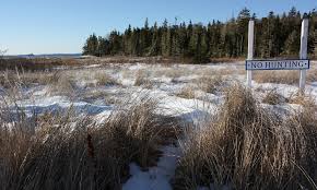 Check spelling or type a new query. Onx Hunt App Review Is It Worth It Rugged Man Tool Reviews Tactical Reviews Outdoor Gear Reviews Gear For Hunters Fishermen Websites For Men