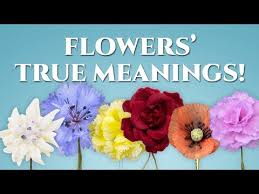 Maybe you would like to learn more about one of these? The True Meanings Of Flowers Revealed