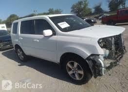 Image result for Taffeta White 2010 Pilot