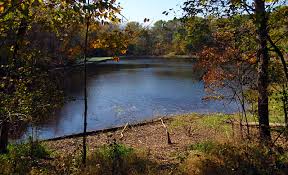 Take i90 to state route 528 in lake county. Ledges State Park Iowa Parklands