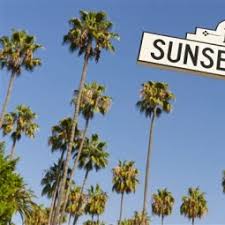 Drive down Sunset Boulevard