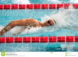 The following 6 files are in this category, out of 6 total. Gregorio Paltrinieri Schwimmer Wahrend Des 7 Trofeo Citta Di Mailand Schwimmenwettbewerbs Redaktionelles Stockfoto Bild Von Schwimmbad Schwimmen 88218283