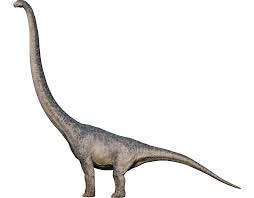 Known for their remarkably long necks, which takes up . Mamenchisaurus Jurassic World Evolution Wiki Fandom