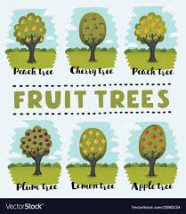 Vanvranken, a county agent and professor at rutgers cooperative extension of atlantic county in mays landing, nj. Fruit Tree Orchard Design