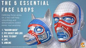 Blender Mesh Modeling Face Loops Blender Character Modeling Face Topology 3d Modeling Tutorial