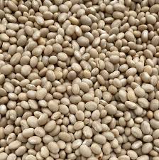 Image result for Macrotyloma