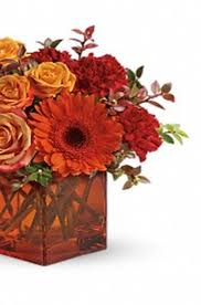 1745 washington st boston, ma 02118. 1745 Washington St æ³¢å£«é¡¿olympia Flower Store