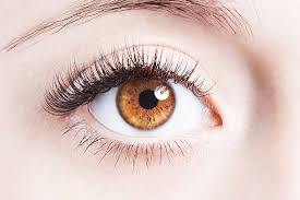 Our experienced eye doctors offer comprehensive vision examinations at our denver optometry office and specialize in the diagnosis and treatment of a wide. Introduction To The Eye Highlands Ranch Hd Eye Care