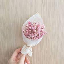 baby s breath in 2021 flowers coin purse
