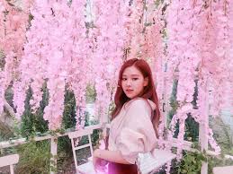 Aesthetic Black And Pink Roses غيد On Twitter Blackpink Rose Blackpink Photos Black Pink Kpop