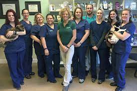Maybe you would like to learn more about one of these? Four Paws Veterinary Hospital Celebrates 10 Years In Riverview The Observer News South Shore Riverview Sun City Center