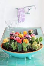 Having evolved in some of the world's harshest conditions, succulents are vigorous plants with low the plants you choose and how you arrange them is a personal choice. 21 Creative Succulent Container Gardens To Diy Or Buy Now Buy Container Containergardens Succulents In Containers Mexican Home Decor Succulents