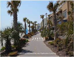 Hawaii palm trees how many hawaii palm trees do you think there are? 25 Bike Paths With Incredible Scenery Top Ten Travel Blog Virginia Beach Boardwalk Virginia Beach Virginia Beach Va