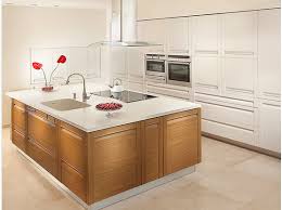 indian kitchen cabinet_weisihui china