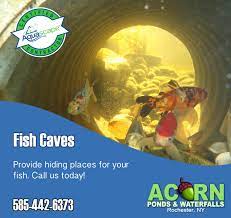 Koi Fish Caves Hiding Places For Pond Fish Koi Pond Design Ny Acorn Ponds Waterfalls Rochester New Koi Fish Pond Hiding Places Koi Pond Design