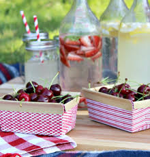 25 Ideas para tener un Picnic inolvidable | Es la Moda