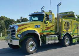 Image result for Yellow 1960 Petit Truck