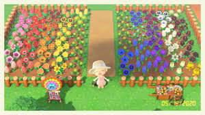 Finally Got The Rainbow Flower Garden I Ve Been Wanting Animal Crossing Animal Crossing Villagers Animal Crossing Game