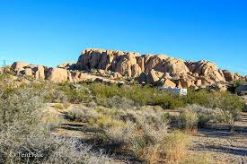 Maybe you would like to learn more about one of these? New Rules For Reservations Review Of Jumbo Rocks Campground Joshua Tree National Park Ca Tripadvisor