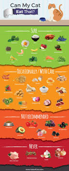 They also love the mildly creamy and sweet taste of the. 11 Benefit With Can Cats Eat Kale You Should Not Miss