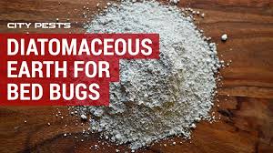 How To Use Diatomaceous Earth To Kill Bed Bugs Guide Where To Buy