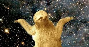 Sloths Are Rad Funny Sloth Pictures Sloth Sloths Funny