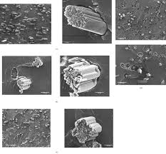 Modification Of Cellulose Fibers With Functionalized Silanes Effect Of The Fiber Treatment On The Mechanical Performances Of Cellulose Thermoset Composites Abdelmouleh 2005 Journal Of Applied Polymer Science Wiley Online Library