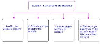 Cbse Ncert Notes Class 9 Biology Improvement Food Resources