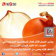 يعتبر البصل قاتل فعال للبكتيريا الموجودة في الجسم أما الثوم فيقتل الفيروسات لذلك فإنه يحمي من الإصابة بالرشح والأنفلونزا fruit movie posters food