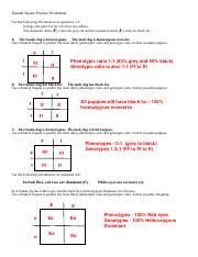 Practice using a punnett square to determine genotype and phenotype probabilities when the genotype of the parents are known. Dihybrid Punnett Squares Pdf Dihybrid Punnett Square Practice Directions In Rabbits Gray Hair G Is Dominant To White Hair G And Black Eyes B Are Course Hero
