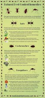 Facility managers are the first line of defense as they are closely involved in the monitoring of potential entry points and signs of infestation. 130 Pest Control Infographics Ideas Pest Control Pests Garden Pests