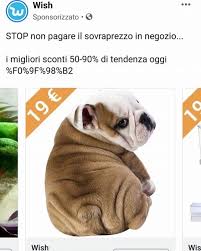Cose strane wish catalogo : Cose Strane Wish Home Facebook