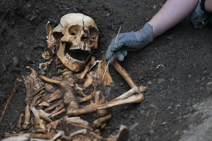 1,000-year-old skeletons discovered in Dublin City | Newstalk