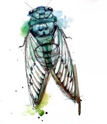 Abby Diamond Watercolor Animals By Abby Diamond 3 3 Insect Art Watercolor Paintings Of Animals Watercolor Animals