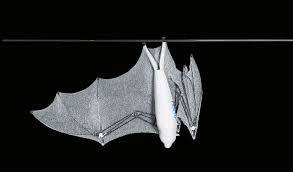 Differential diagnosis bat wing pulmonar. Bionicflyingfox Festo Corporate