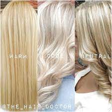 Need Help Deciphering Exactly What The Difference Is Between Warm Cool And Neutral Blondes Try Putting Tog Neutral Blonde Neutral Blonde Hair Pale Blonde Hair