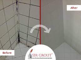 We did not find results for: Do You Have Mold And Mildew In Your Shower See How A Tile Grout Cleaning And Sealing Can Help