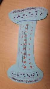 Long bone model project video. Our Homemade Long Bone Homemade Bones