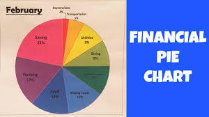 make a financial pie chart