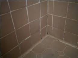 How To Remove Black Mold From Bathroom Tile Ehow Shower Grout Bathroom Mold Remover Mold In Bathroom