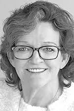 County Board Holds Solar Project Hearing