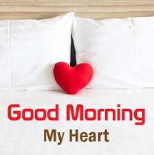 We did not find results for: Good Morning My Heart Good Morning Images Quotes Wishes Messages Greetings Ecards