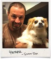 Pet-friendly Bee Removal Methods