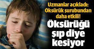 Sonbahar Ve Kis Aylarinda Gelisen Sinuzit Farenjit Larenjit Nezle Ve Soguk Alginligi Gibi Ust Solunum Yollari Enfeksiyonlariyl Saglik Saglik Ipuclari Recete