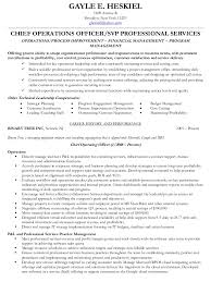 vp professional services resume