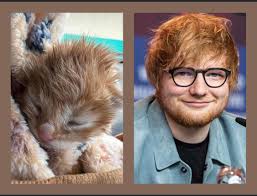 Edward is becoming one of favs💪🏻